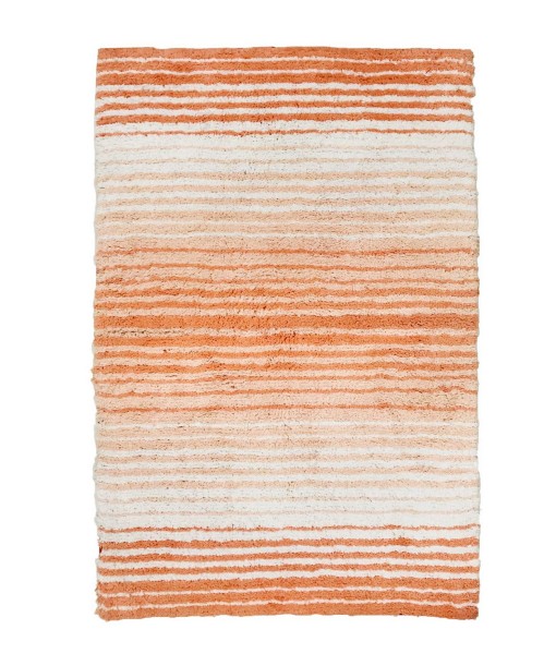 Gradiation Bath Rug 17